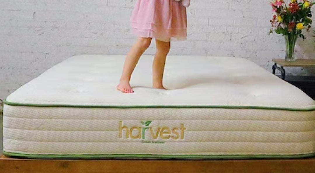 Harvest Green Organic Latex Original