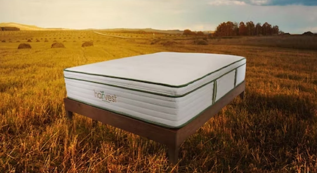 Harvest Green Organic Latex Pillow Top