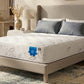PranaSleep Asha LuxePro 3.0 Plush