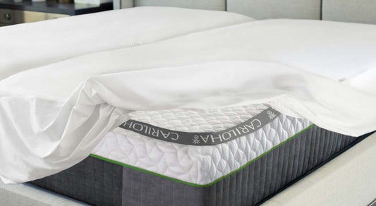 Cariloha Signature Jersey Mattress Protector
