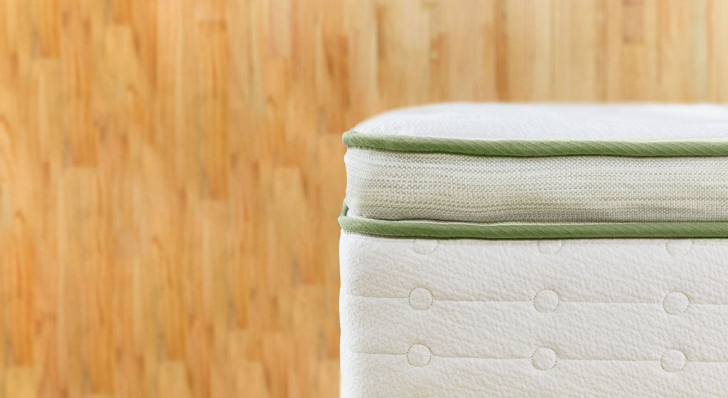 Avocado Green Organic Pillow-Top Mattress