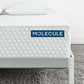 Molecule Core Hybrid