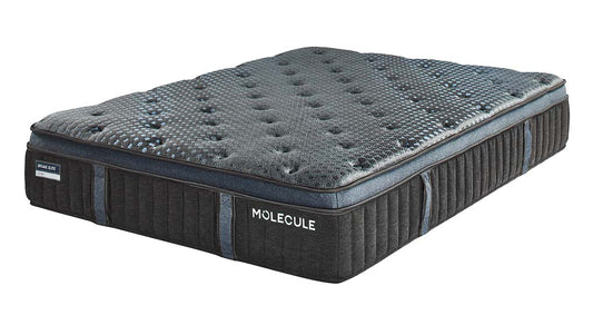 Molecule Engage Elite Firm