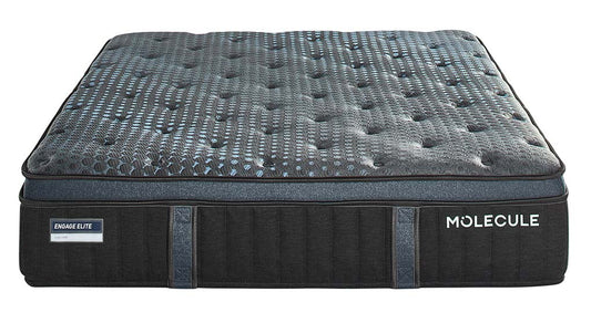 Molecule Engage Elite Firm