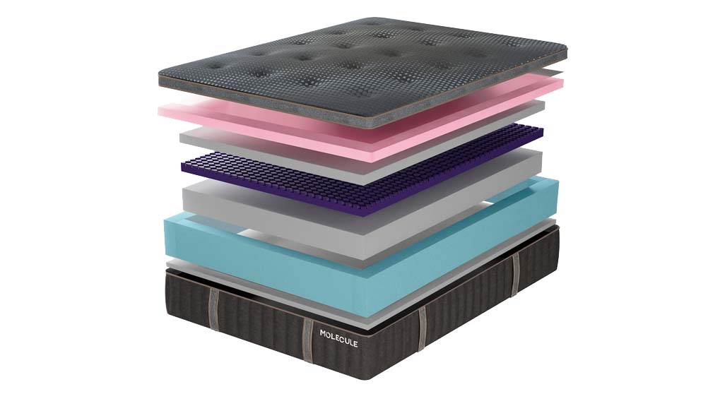 Molecule Engage Elite Firm