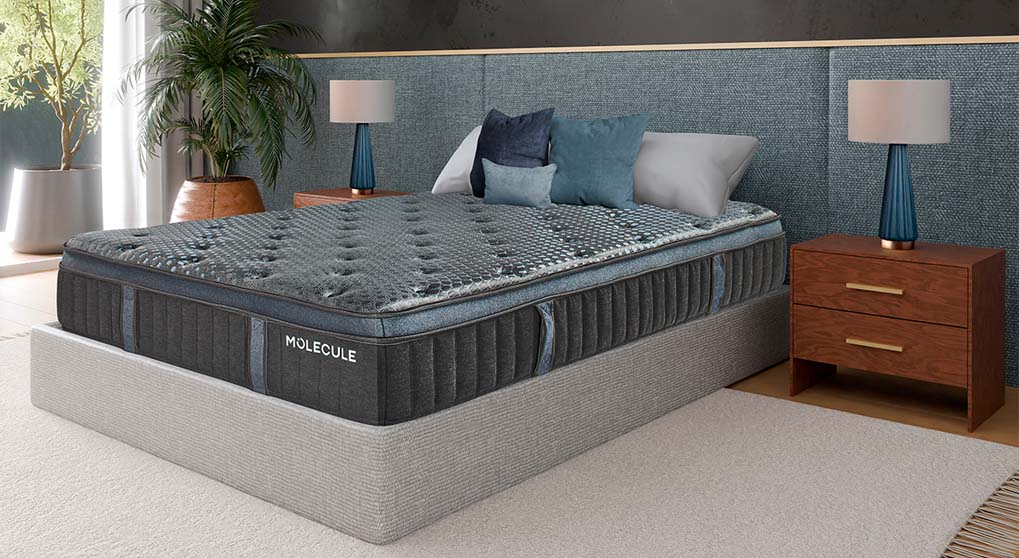 Molecule Engage Elite Firm