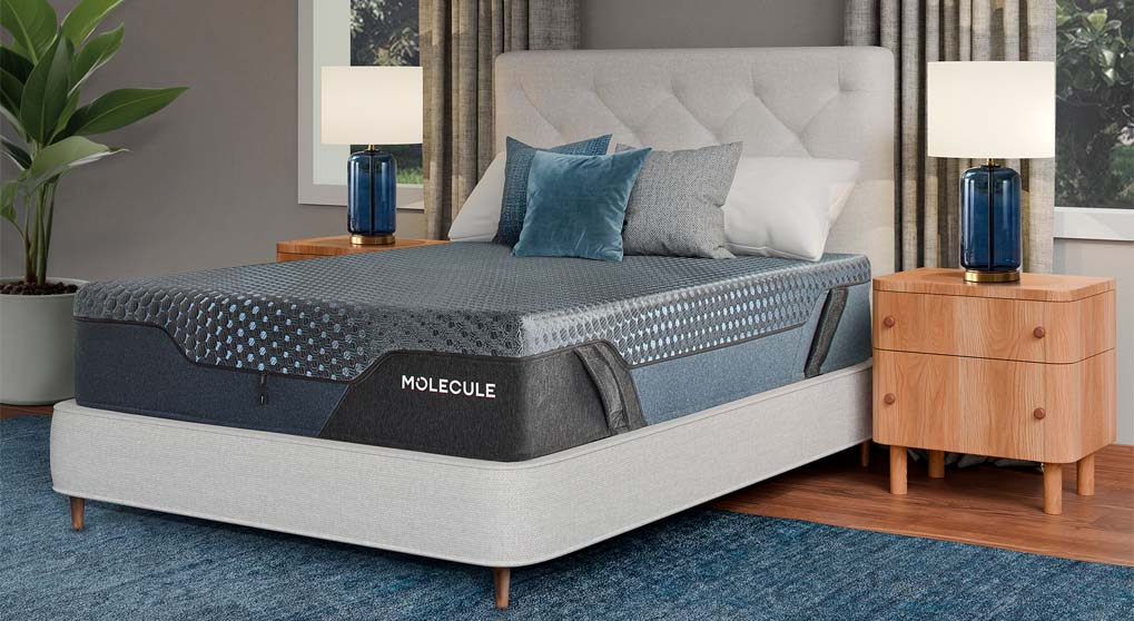 Molecule Engage Pro Medium