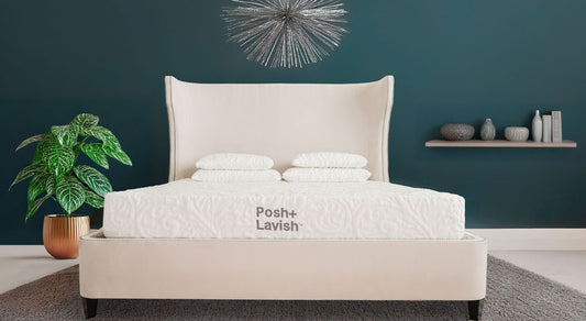 Posh + Lavish Natural Latex Relax