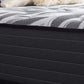 Sealy Posturepedic Plus Exuberant II Plush
