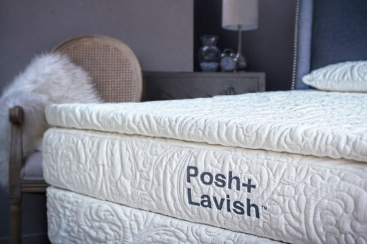 Posh + Lavish Predominant True Pillow Top